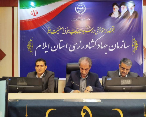  روند تولید مرغ در ایلام تسهیل می‌شود