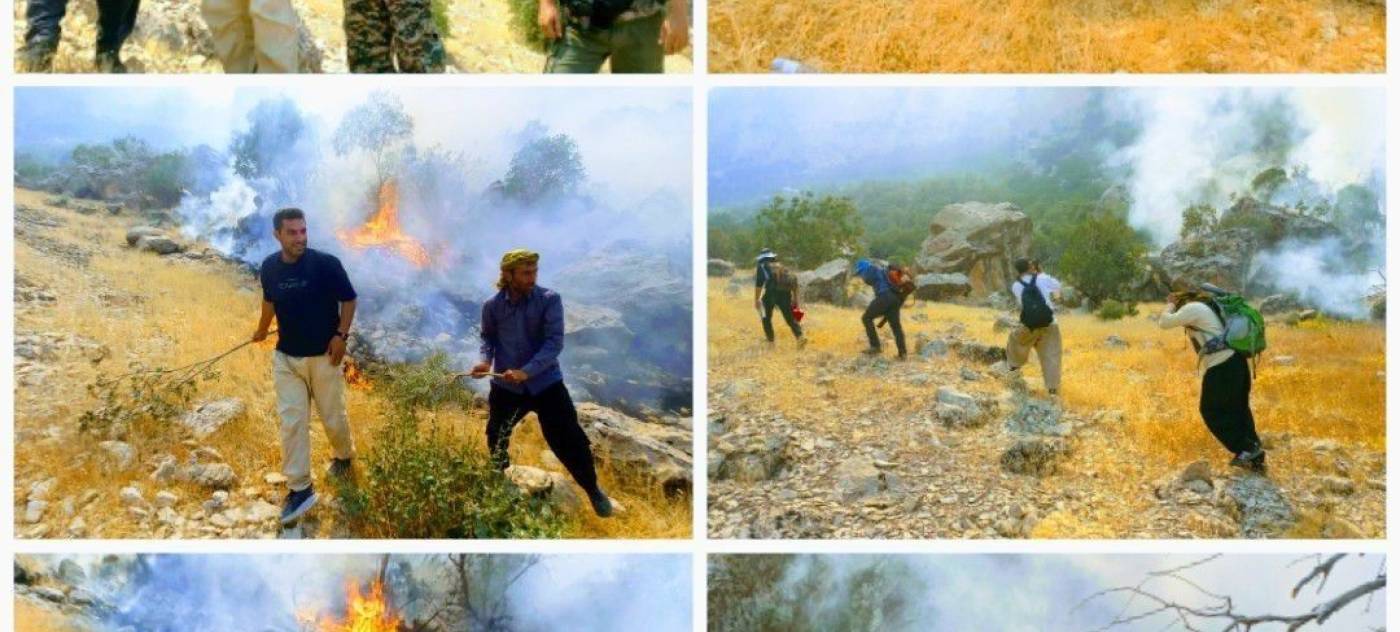 20 هکتار از جنگل های کبیرکوه دچار آتش سوزی شد