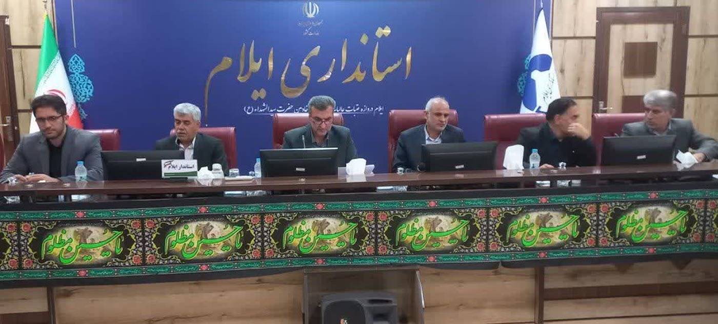 تاکید معاون استاندار ایلام در برخورد با تخلفات نانوایان