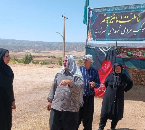 بازدید میدانی معاون برنامه‌ریزی و هماهنگی امور عمرانی فرمانداری از مواکب ها